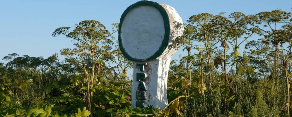 
            Фотография Никитино