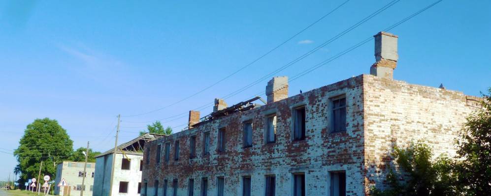 
            Фотография Ницинского