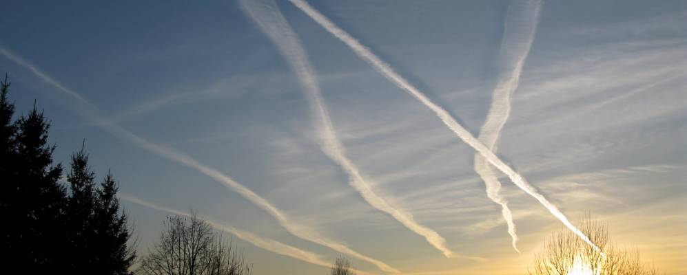 
            Фотография Яскино