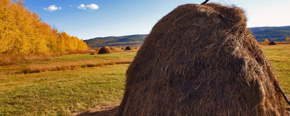 
            Фотография Маккавеево