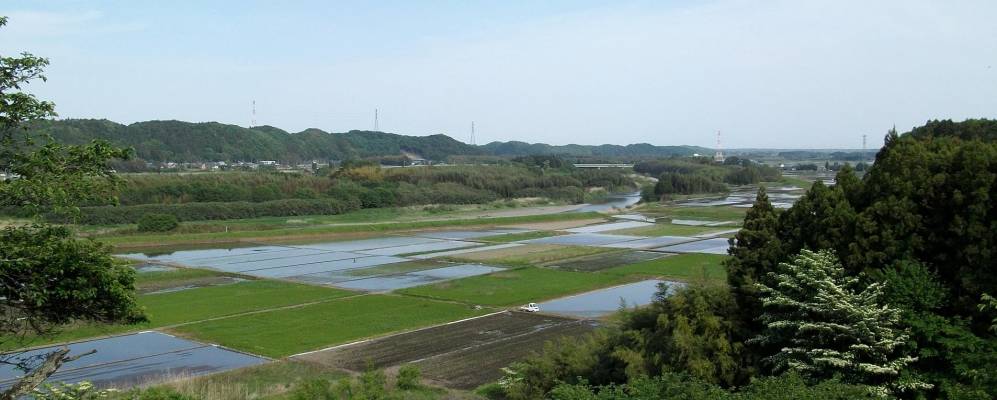 
            Фотография Омии