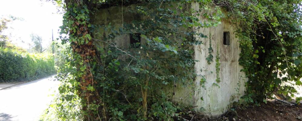 
            Фотография Фрешуотера