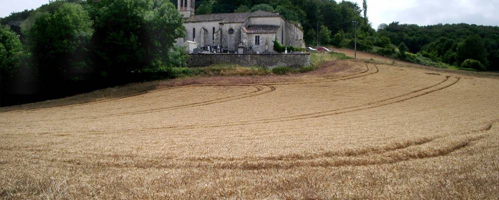 
            Фотография Туффай