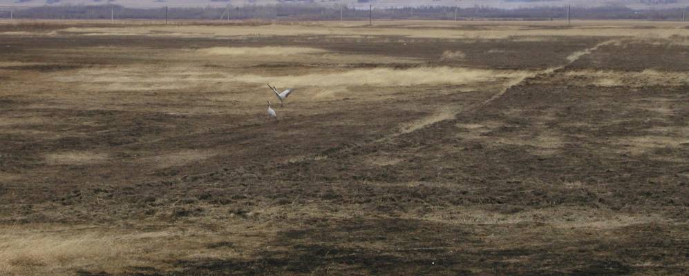 
            Фотография Босогола (Нарана)