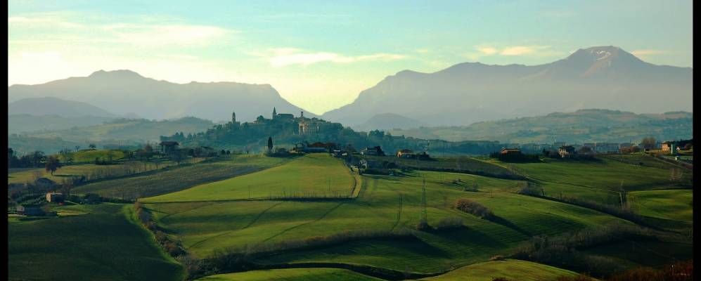 
            Фотография Мондавио