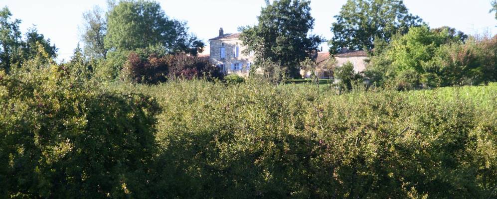 Фотография Монтазо