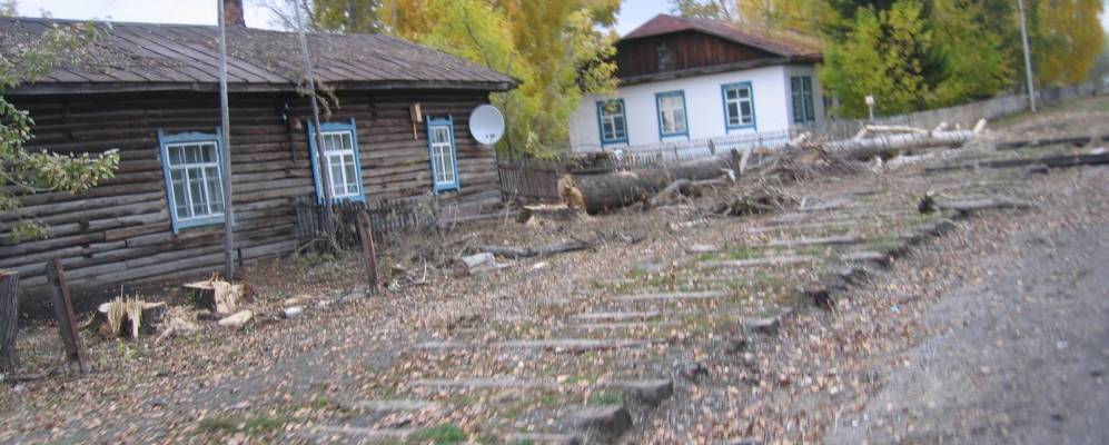 Фотография Пенька