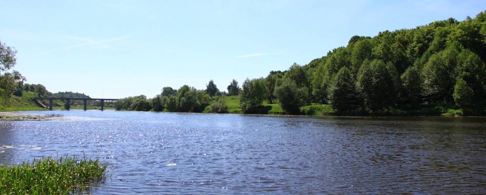 
            Фотография Городницы