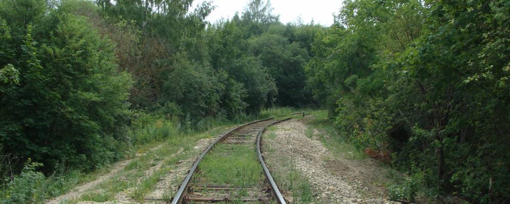 
            Фотография Ушаковки