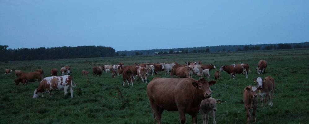 
            Фотография Прерова