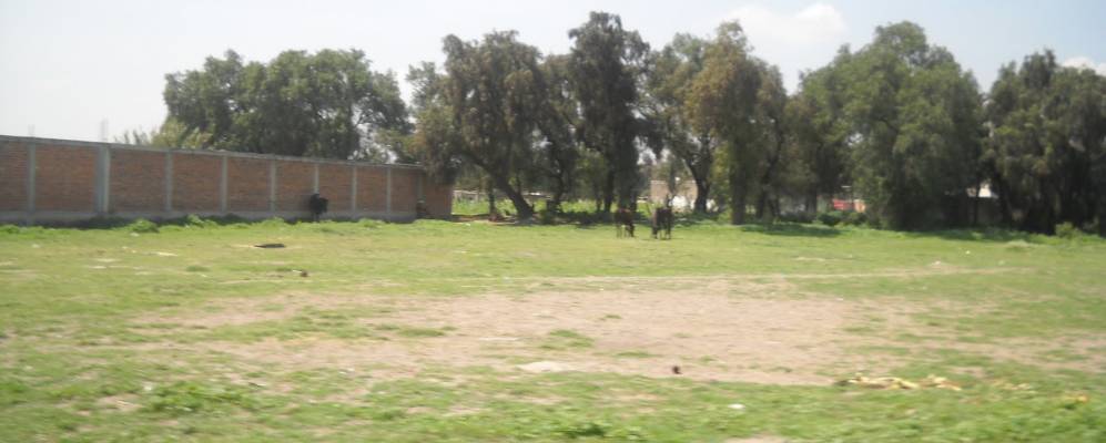 
            Фотография Сан Бартоло Куаутлальпана