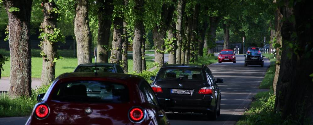 
            Фотография Бойценбурга