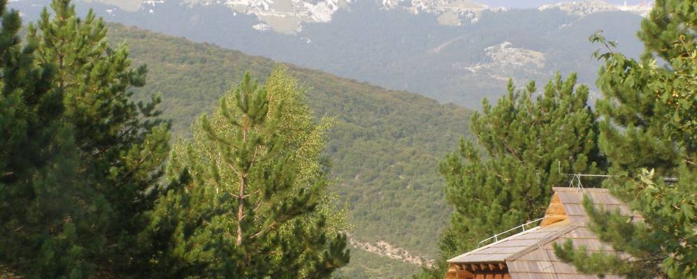 
            Фотография Кореницы