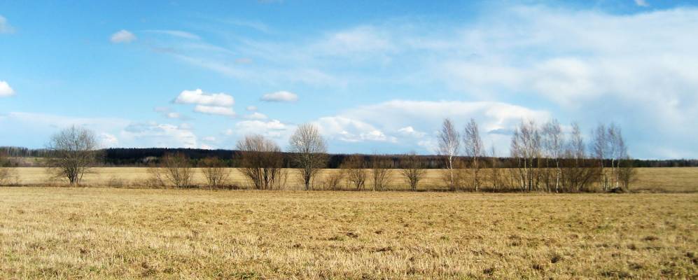 
            Фотография Поломца