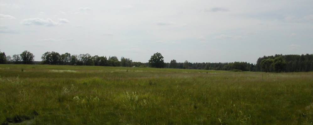 
            Фотография Сонино