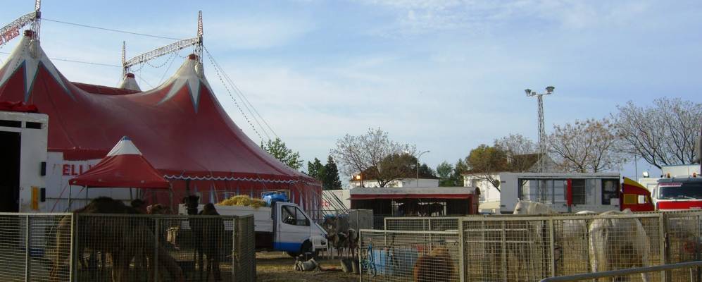 
            Фотография Палма дел Рио