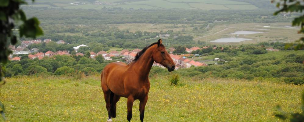 
            Фотография Траймсарана