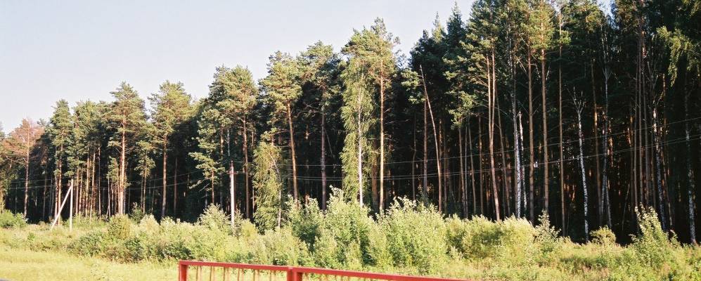 
            Фотография Чупина