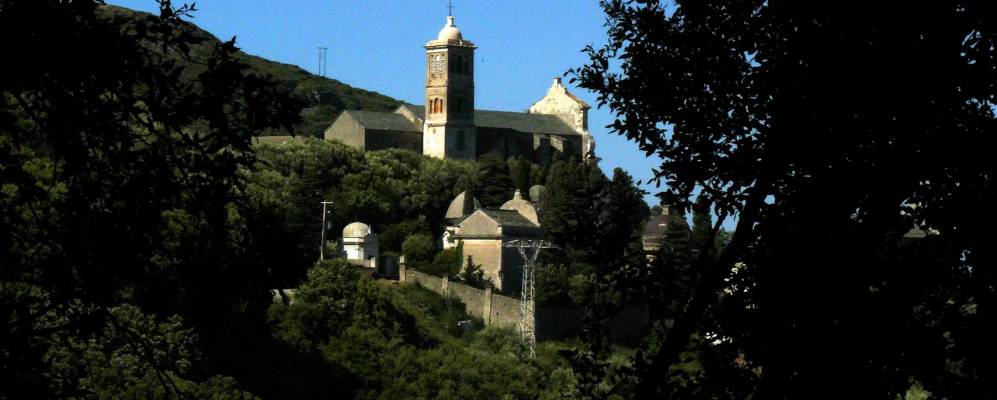 
            Фотография Рольяно