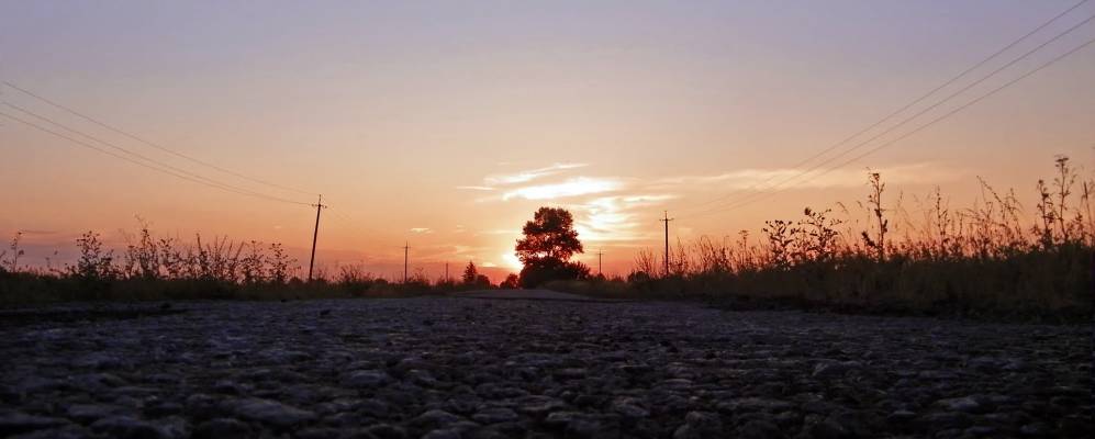 
            Фотография Паливода