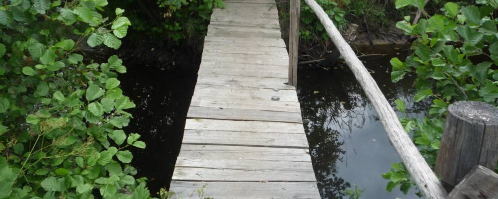 
            Фотография Алешково