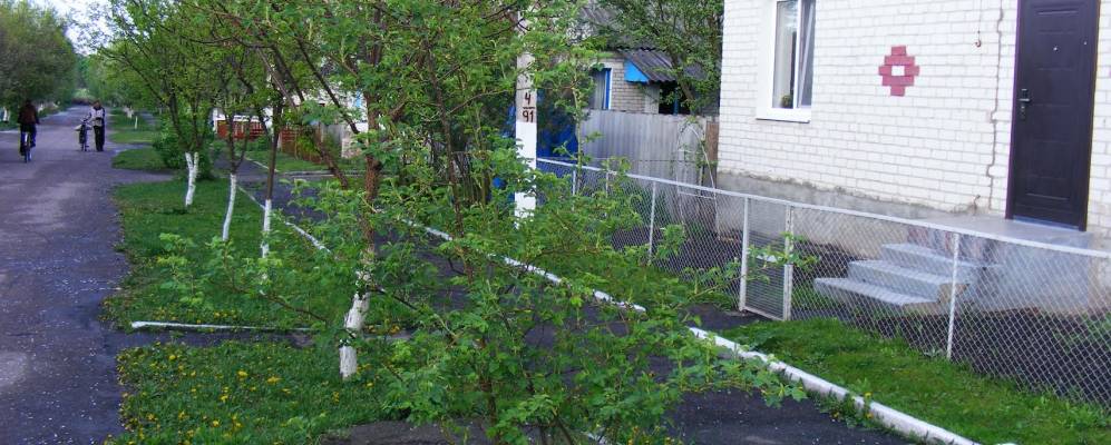 
            Фотография Бондари