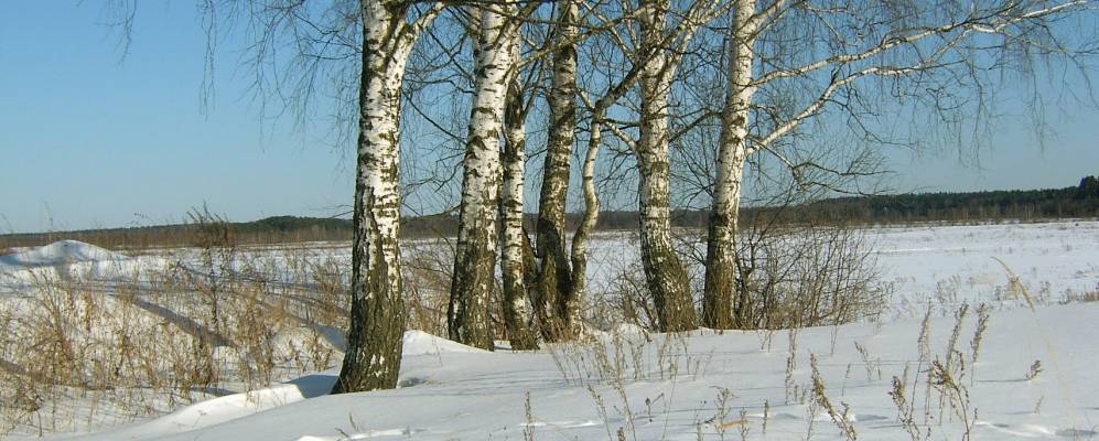 
            Фотография Дерябино