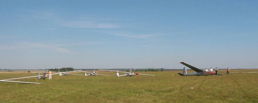 
            Фотография Зяблого