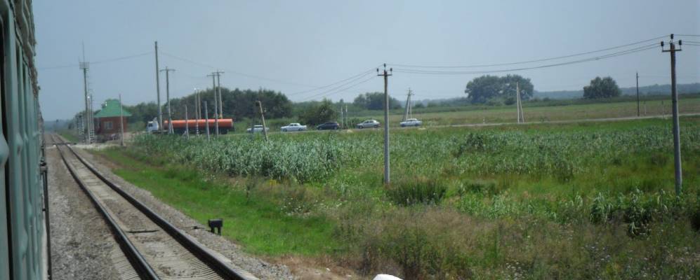 
            Фотография Весёлого