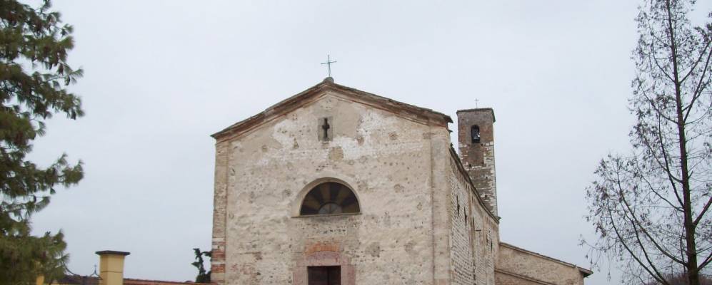 
            Фотография Медоле