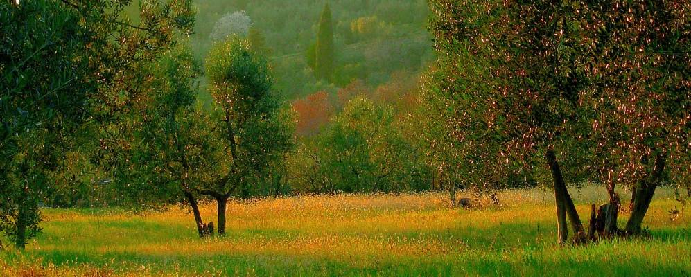 
            Фотография Сан-Якопо-аль-Джироне