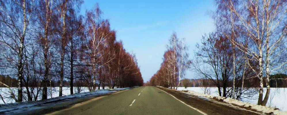 
            Фотография Блистовой