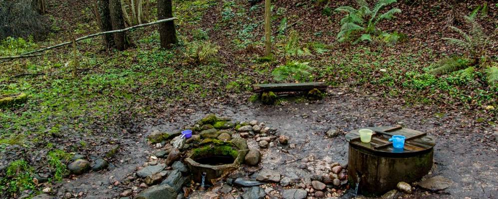 Фотография деревни Косичи