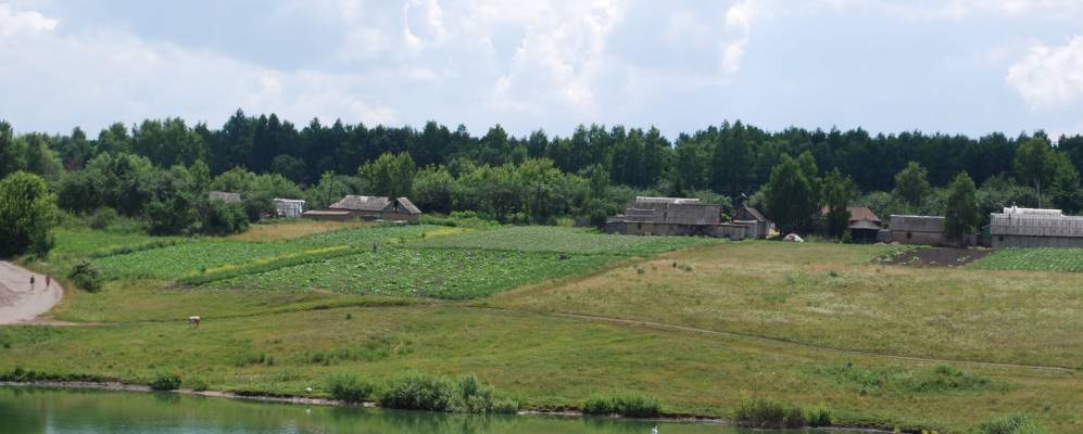 
            Фотография Битюга