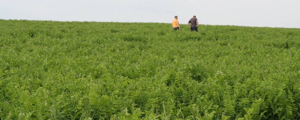 Фотография Верхнего Киева