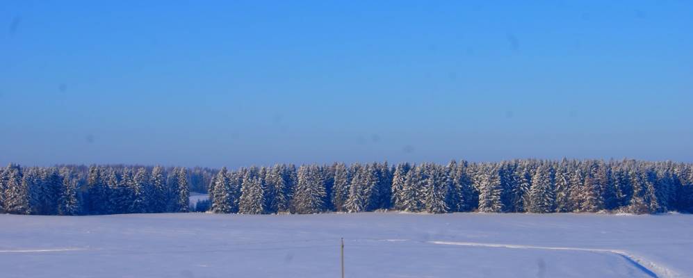 
            Фотография Замощья