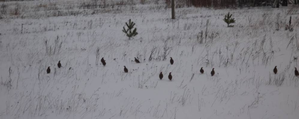 Фотография Озера