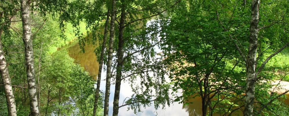 
            Фотография Нового Новосела