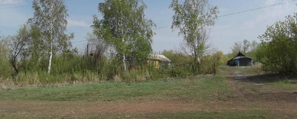 Фотография Дрыгина Сада