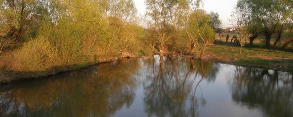 
            Фотография Мошковцы