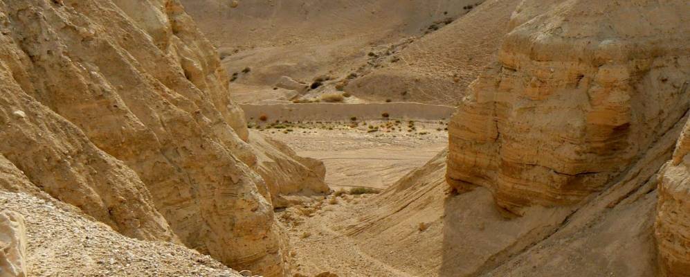 
            Фотография Калии