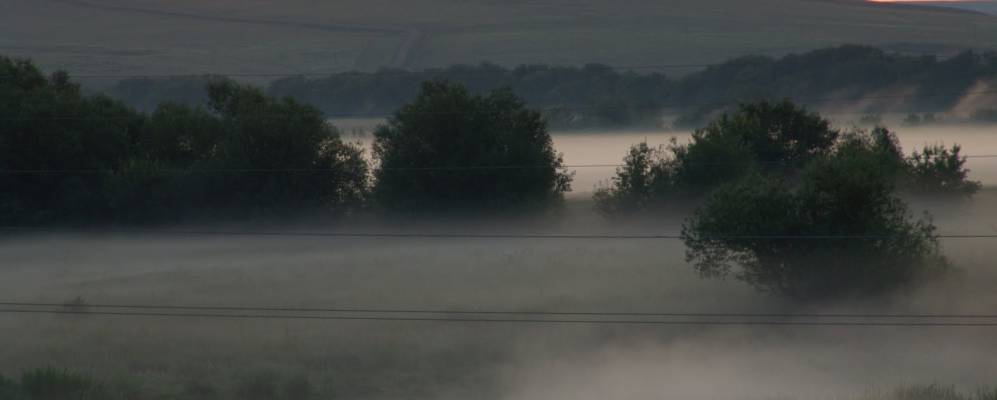 
            Фотография Донского
