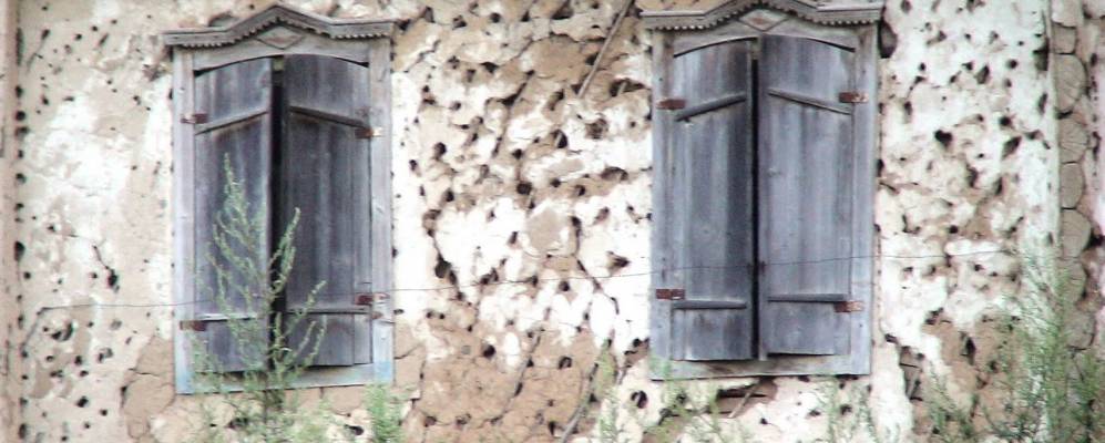 
            Фотография Кривовского