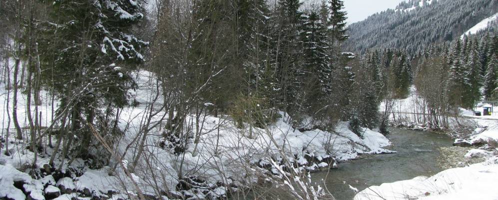 
            Фотография Бальдершванга