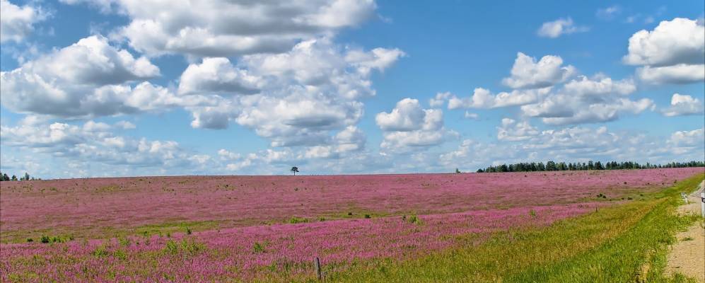 
            Фотография Шелемины