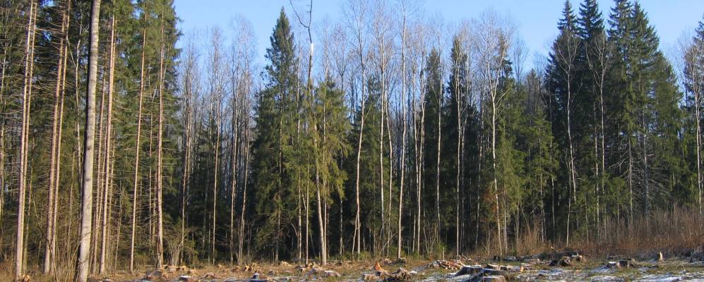 Фотография деревни Бели