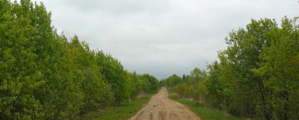 Фотография Костиково