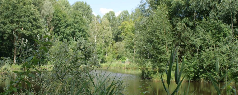 
            Фотография Байваля