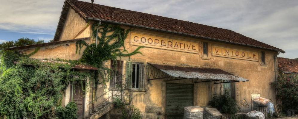 
            Фотография Антрекасто