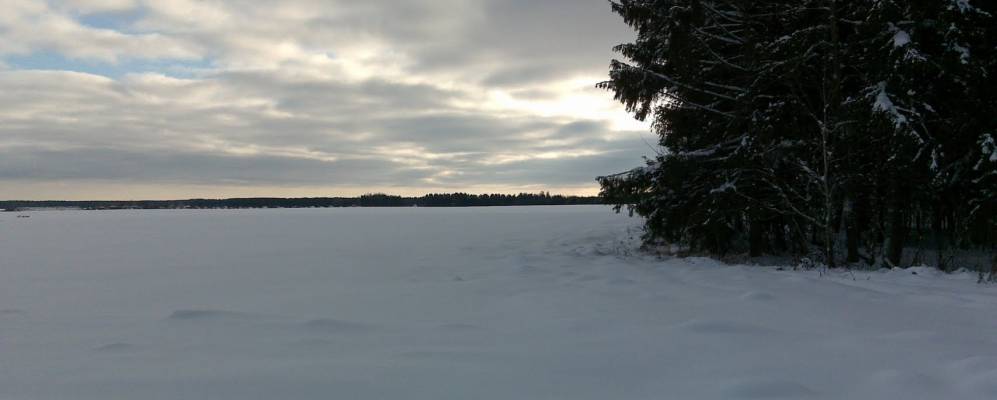 Фотография Ракашичей